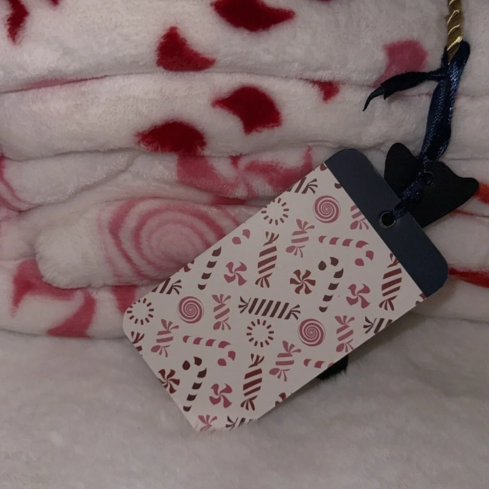 Rachel Roy full/queen Candy Cane Plush Blanket
